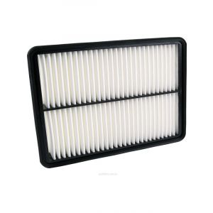 Ryco Air Filter