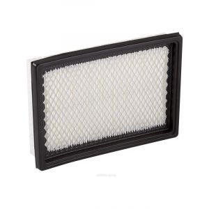 Ryco Air Filter