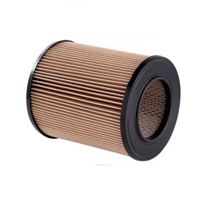 Ryco Air Filter