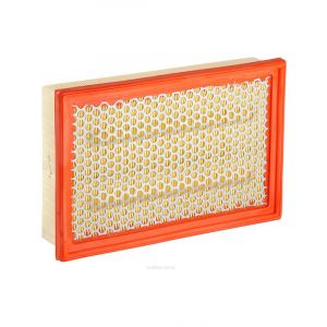 Ryco Air Filter