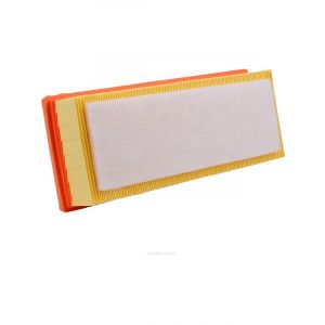 Ryco Air Filter