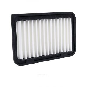 Ryco Air Filter