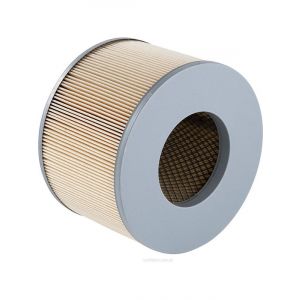 Ryco Air Filter