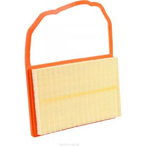 Ryco Air Filter