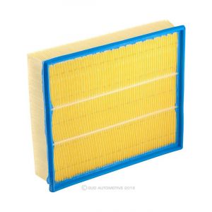 Ryco Air Filter