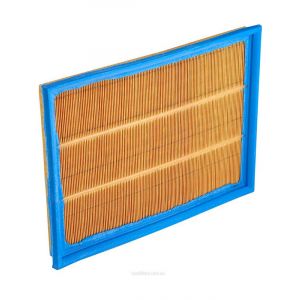 Ryco Air Filter