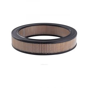 Ryco Air Filter
