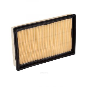 Ryco Air Filter