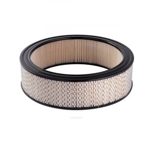 Ryco Air Filter