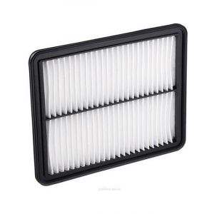 Ryco Air Filter