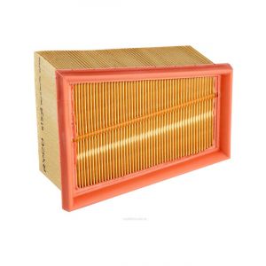 Ryco Air Filter