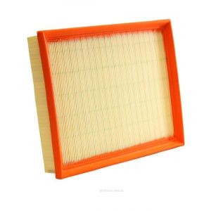 Ryco Air Filter