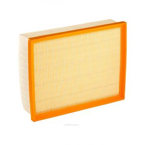 Ryco Air Filter