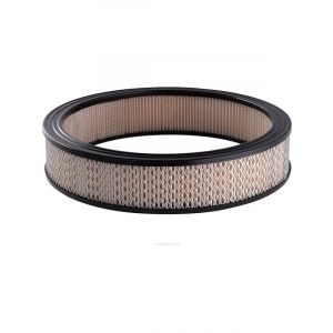 Ryco Air Filter