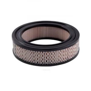 Ryco Air Filter
