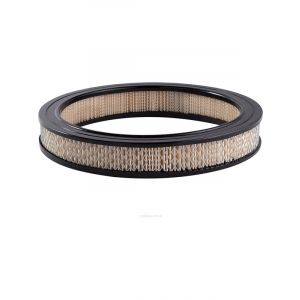 Ryco Air Filter