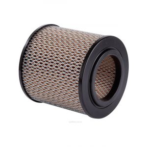Ryco Air Filter