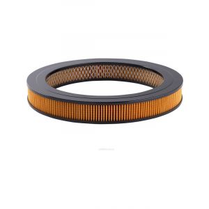 Ryco Air Filter