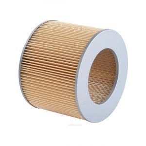 Ryco Air Filter