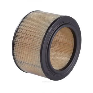 Ryco Air Filter