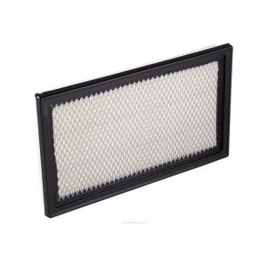 Ryco Air Filter