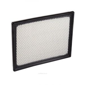Ryco Air Filter