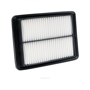 Ryco Air Filter