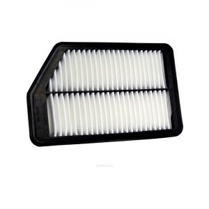 Ryco Air Filter