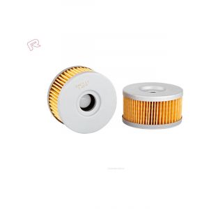 Ryco Motorcycle Oil Filter