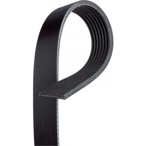 Gates Micro-V Ribbed Belt