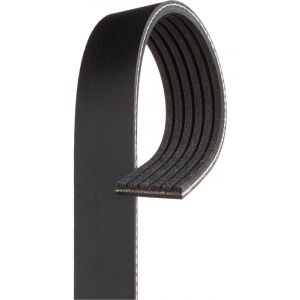 Gates Micro-V Ribbed Belt